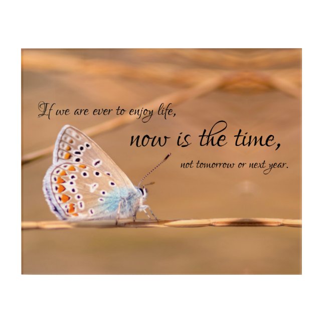 Beautiful butterfly with motivational quote acrylic print (Front)