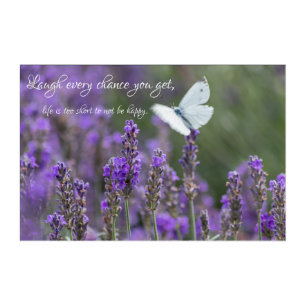 Beautiful butterfly with motivational quote acrylic print