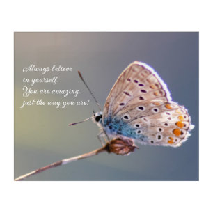 Beautiful butterfly with motivational quote acrylic print