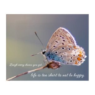 Beautiful butterfly with motivational quote acrylic print