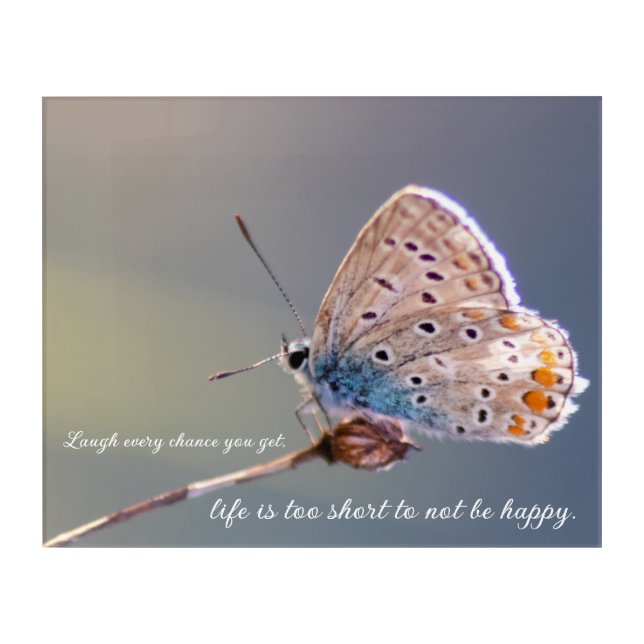 Beautiful butterfly with motivational quote acrylic print (Front)