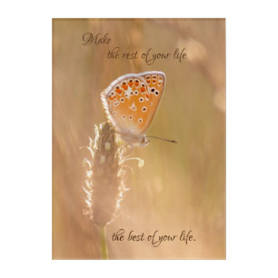 Beautiful butterfly with motivational quote acrylic print