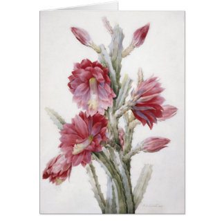 Beautiful Cactus Bloom Watercolor Art Cards
