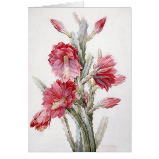 Beautiful Cactus Bloom Watercolor Art Cards (Front)