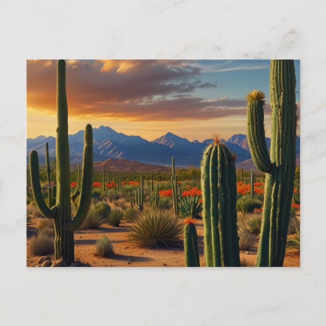 Beautiful Cactus Desert Postcard (Front)