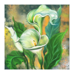Beautiful Calla Lily Flower - Migned Art Drawing Canvas Print
