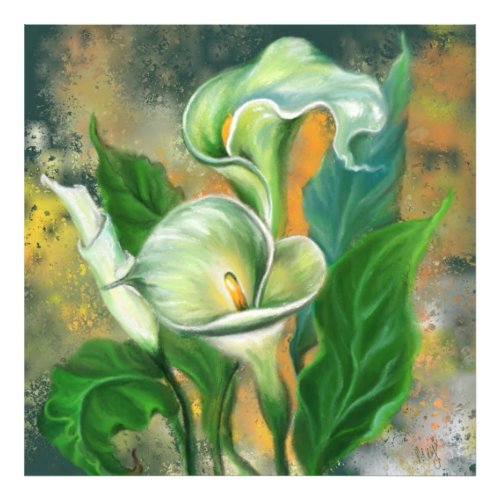 Beautiful Calla Lily Flower _ Migned Art Drawing Photo Print
