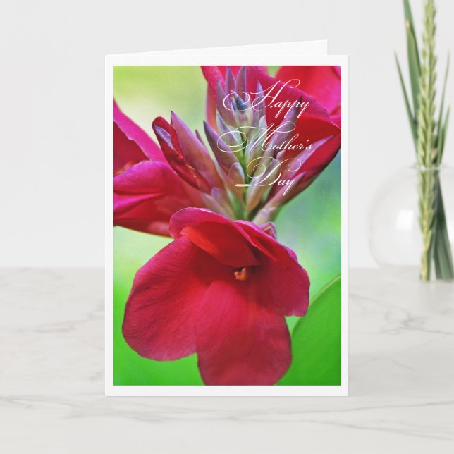 Beautiful Cana Lily flower Mother's Day Card (Front)