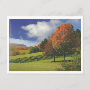 Beautiful Canada Landscape Niagara: LOWPRICE Gift Postcard