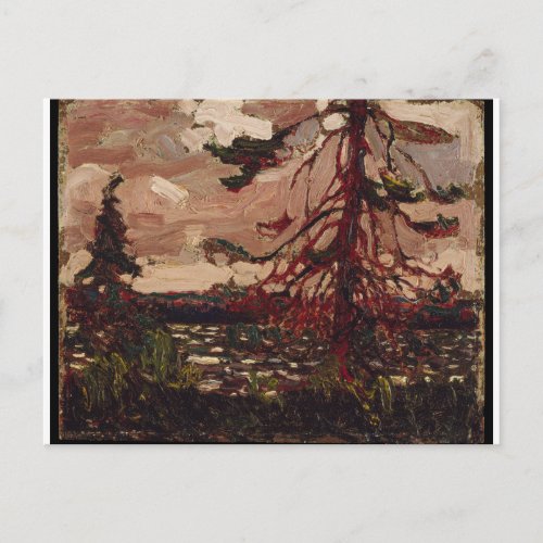 Beautiful Canadian Scene Ragged Pine Tom Thomson Postcard