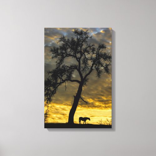 Beautiful Canvas Horse and Oak Tree with Sunrise