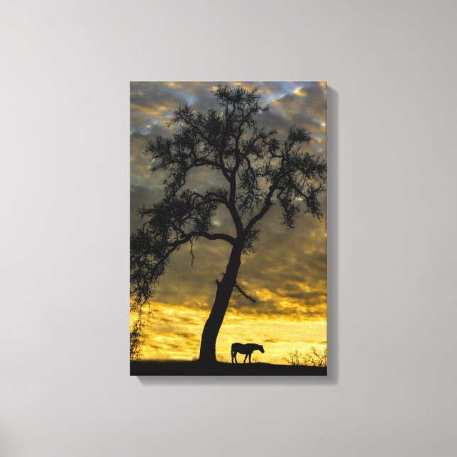 Beautiful Canvas Horse and Oak Tree with Sunrise (Front)
