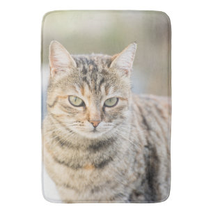 Beautiful cat bath mat