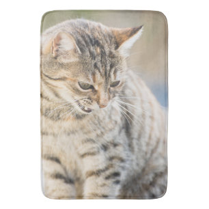 Beautiful cat bath mat
