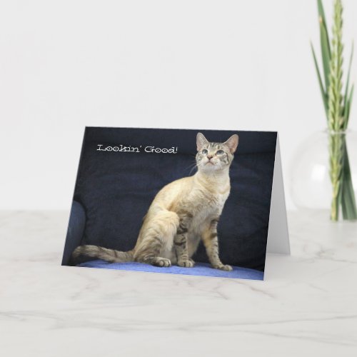 Beautiful Cat Birthday Card for Special Person