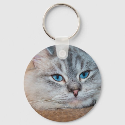 Beautiful cat blue eyes keychain