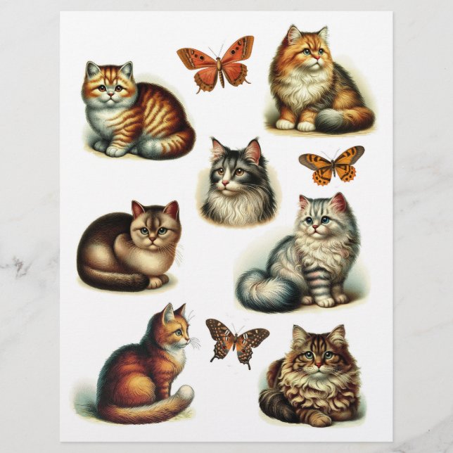 Beautiful Cat Illustrations with Butterflies (Front)