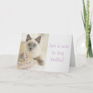 Beautiful Cat Just A Note to Say Hello Card
