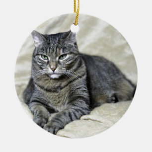 Beautiful Cat Laying Ceramic Ornament
