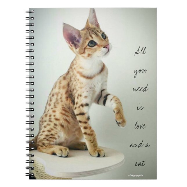 Beautiful cat lover notebook (Front)