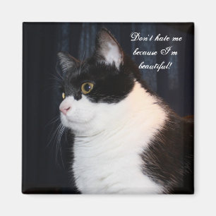 Beautiful Cat Magnet