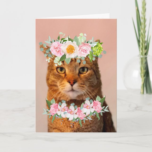 Beautiful Cat MEOWVELOUS Birthday Card (Front)