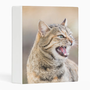 Beautiful cat mini binder