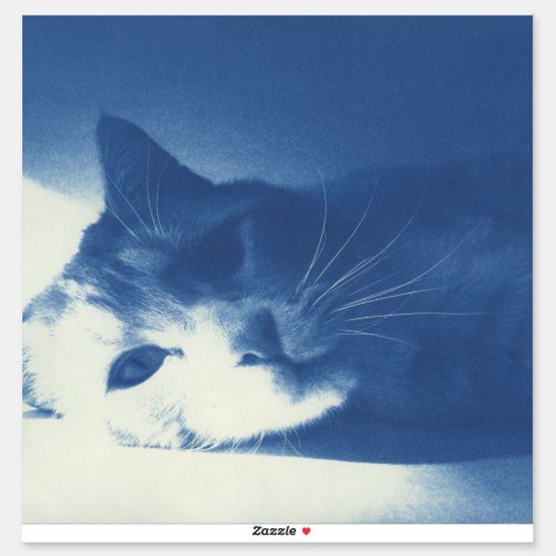 Beautiful Cat Pillow Case Sticker