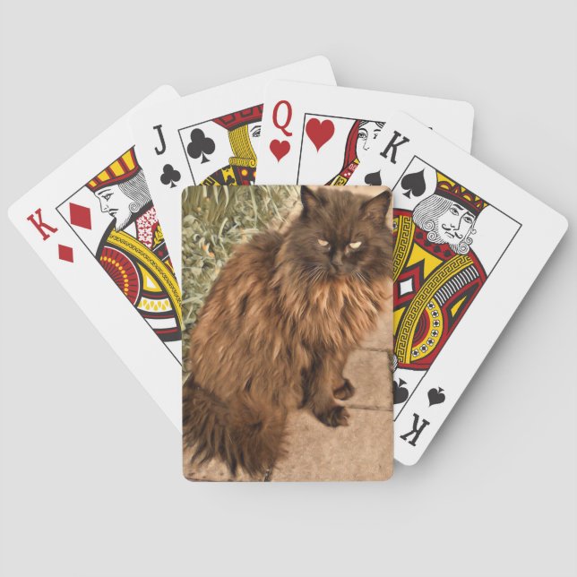 Beautiful cat poker cards (Back)
