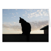 Beautiful cat silhouette at sunset (Front Horizontal)