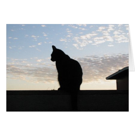 Beautiful Cat Silhouette At Sunset