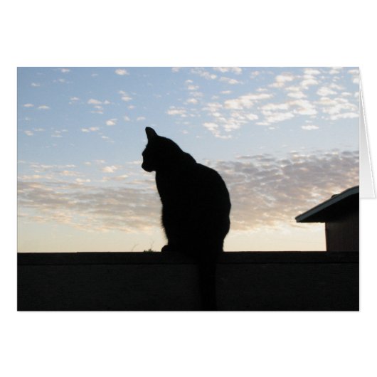 Beautiful cat silhouette at sunset cards (Front Horizontal)