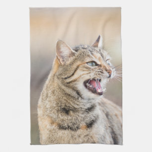 Beautiful cat towel