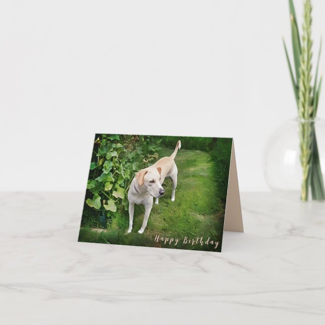 Beautiful Catahoula Dog Folded Greeting Card (Front)