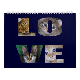 Beautiful Cats For All Who Love Them 2024 Calendar