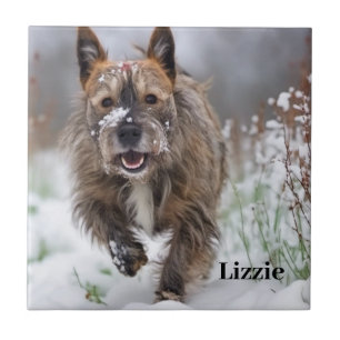 Beautiful Ceramic Tile. Add your own picture/name Tile