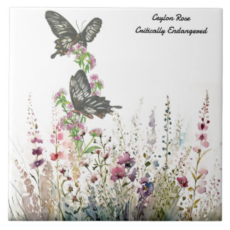 Beautiful Ceylon Rose Hand-painted Butterfly Ceramic Tile
