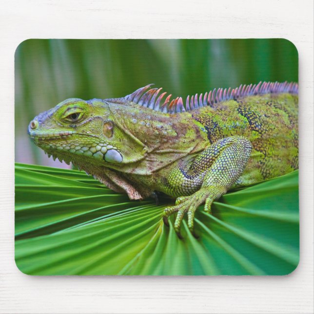 Beautiful Chameleon Mouse Pad (Front)