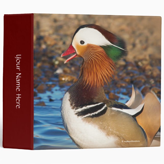 Beautiful Chatty Mandarin Duck at the Pond 3 Ring Binder (Front/Spine)