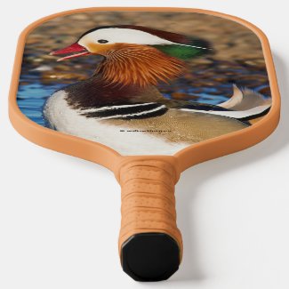 Beautiful Chatty Mandarin Duck at the Pond