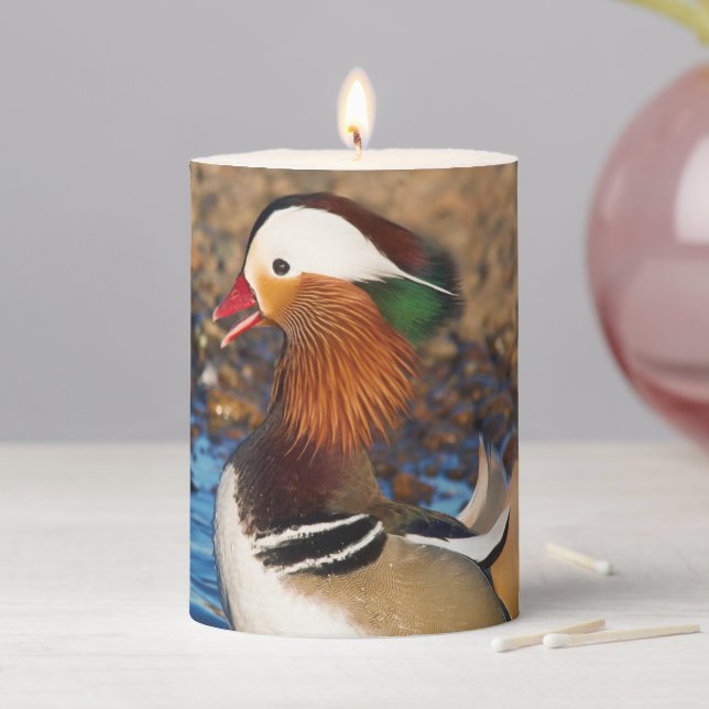 Beautiful Chatty Mandarin Duck at the Pond Pillar Candle (In Situ)