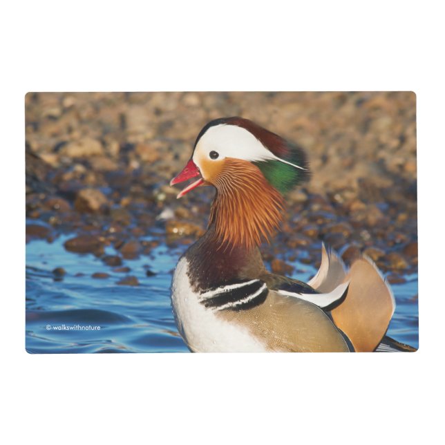 Beautiful Chatty Mandarin Duck at the Pond Placemat (Front)