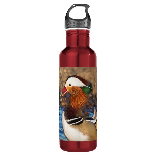 Beautiful Chatty Mandarin Duck at the Pond Stainless Steel Water Bottle (Front)