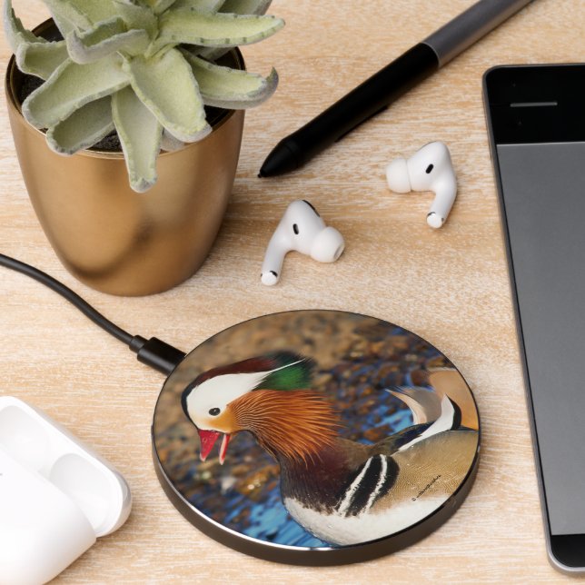 Beautiful Chatty Mandarin Duck at the Pond Wireless Charger (Desk 2)