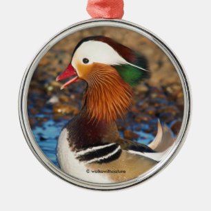 Beautiful Chatty Mandarin Duck on the Rocks Metal Ornament