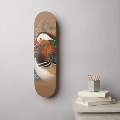 Beautiful Chatty Mandarin Duck on the Rocks Skateboard