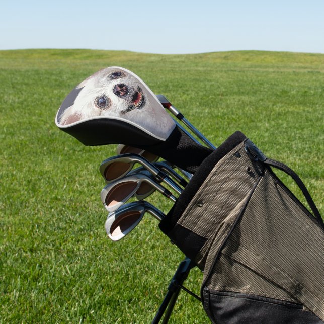 Beautiful Cheerful Fluffy White Chihuahua Dog Golf Head Cover (In Situ)