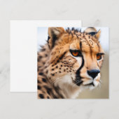 Beautiful Cheetah (Front/Back)