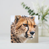 Beautiful Cheetah (Standing Front)