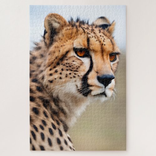 Beautiful Cheetah Jigsaw Puzzle